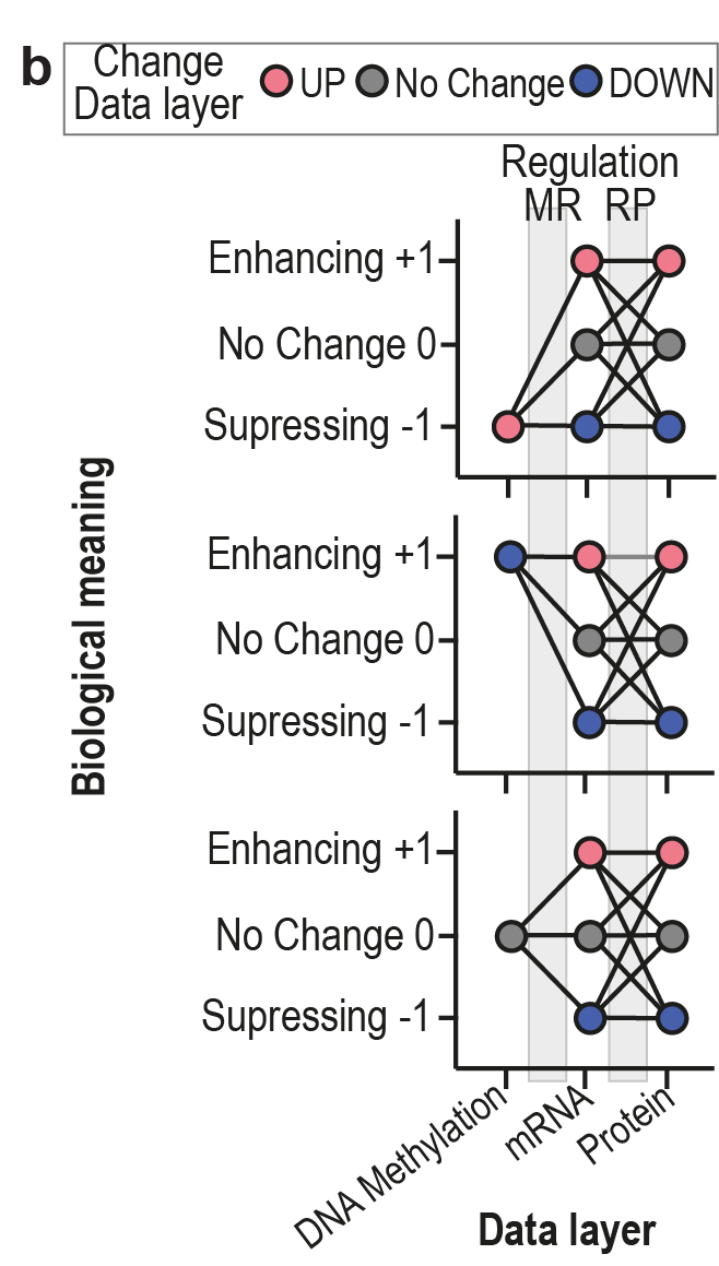 Fig. 1b: Biological meaning the flows between the data layers will conveye.