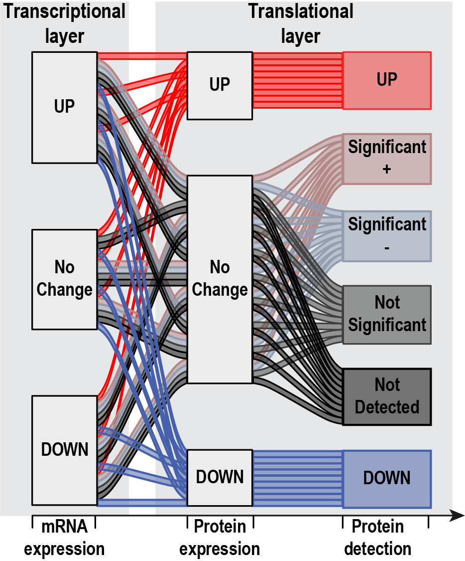 Fig. 2: Overview of SiRCle Regulatory Clustering without the DNA-Methylation data layer.